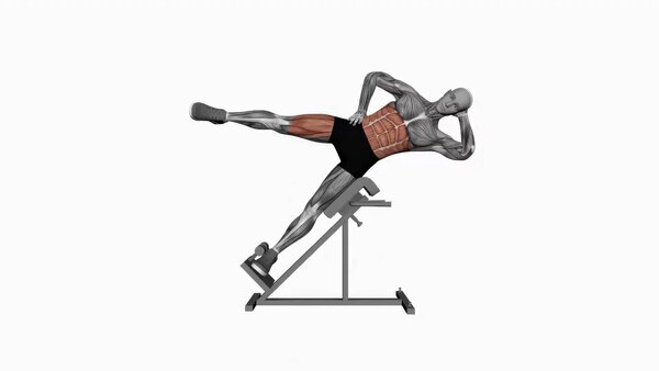 45 Degree Bicycle Twist Knee To Elbow